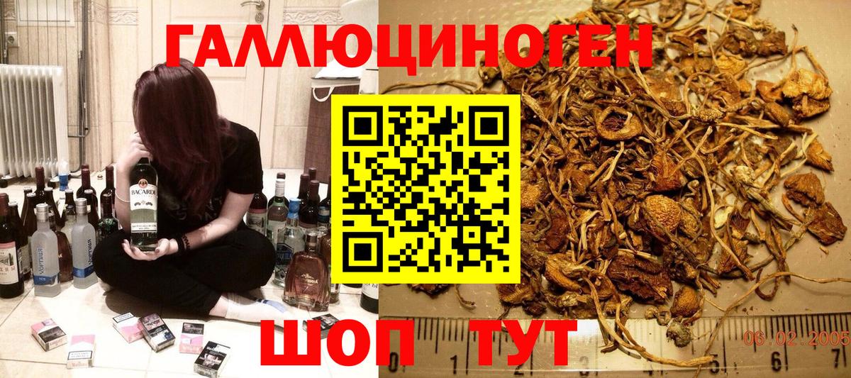 Сегежа  Псилоцибиновые грибы Psilocybine cubensis  Вход с VPN 
